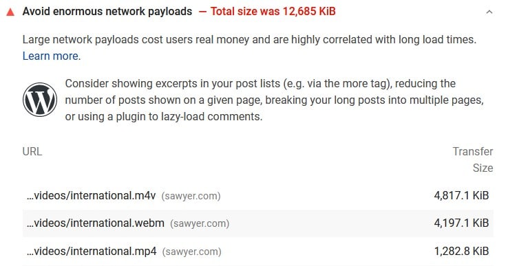 Image showing redundant video downloads in the network payloadsection